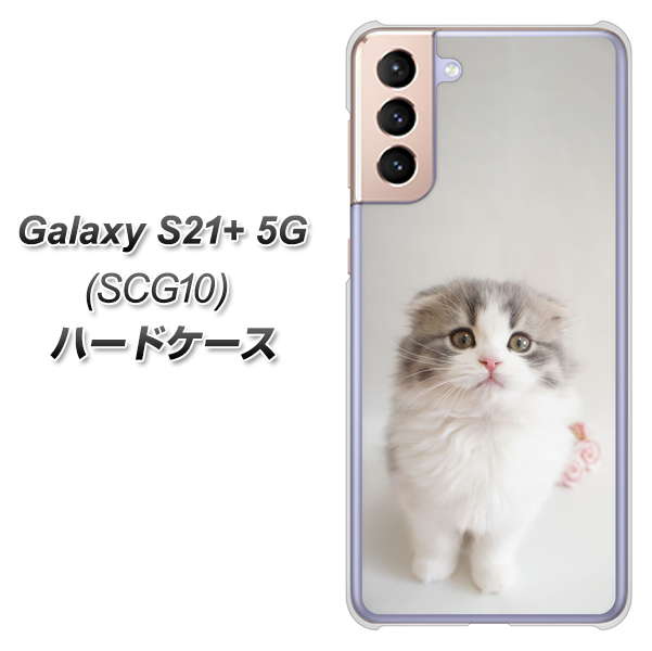 au ギャラクシーS21+ 5G SCG10 高画質仕上げ 背面印刷 ハードケース【VA803 まっていますネコ】