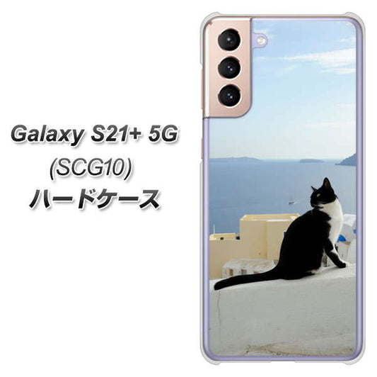 au ギャラクシーS21+ 5G SCG10 高画質仕上げ 背面印刷 ハードケース【VA805 ネコと地中海】