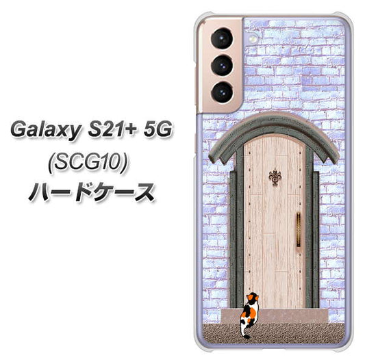 au ギャラクシーS21+ 5G SCG10 高画質仕上げ 背面印刷 ハードケース【YA952 石ドア02 素材クリア】