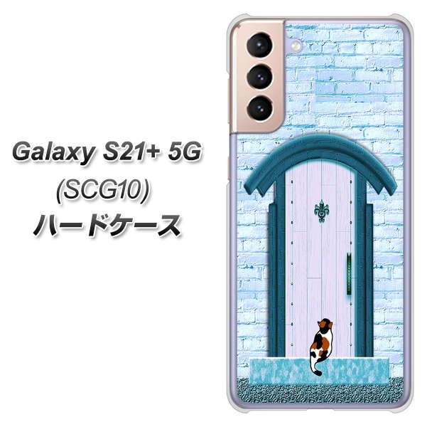 au ギャラクシーS21+ 5G SCG10 高画質仕上げ 背面印刷 ハードケース【YA953 石ドア03 素材クリア】