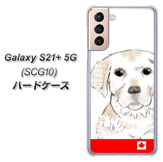 au ギャラクシーS21+ 5G SCG10 高画質仕上げ 背面印刷 ハードケース【YD821 ラブラドールレトリバー02】