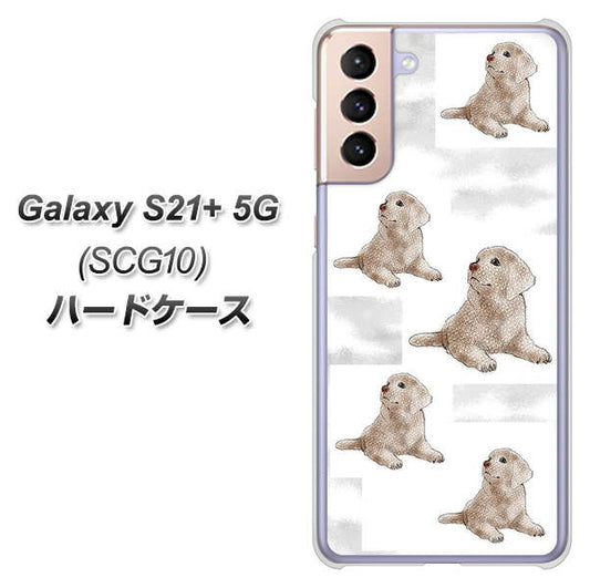 au ギャラクシーS21+ 5G SCG10 高画質仕上げ 背面印刷 ハードケース【YD823 ラブラドールレトリバー04】