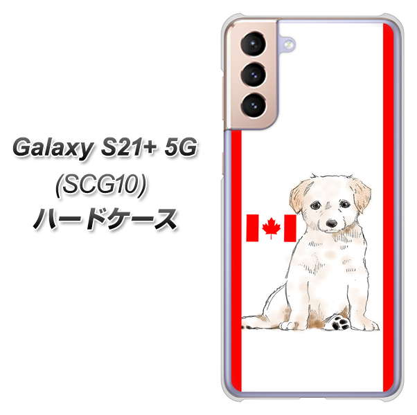 au ギャラクシーS21+ 5G SCG10 高画質仕上げ 背面印刷 ハードケース【YD824 ラブラドールレトリバー05】