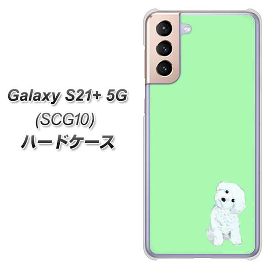 au ギャラクシーS21+ 5G SCG10 高画質仕上げ 背面印刷 ハードケース【YJ071 トイプードルホワイト（グリーン）】