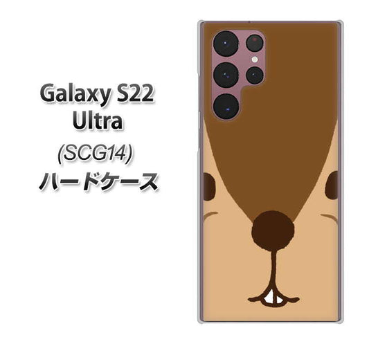 Galaxy S22 Ultra SCG14 au 高画質仕上げ 背面印刷 ハードケース【349 りす】