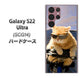 Galaxy S22 Ultra SCG14 au 高画質仕上げ 背面印刷 ハードケース【595 にゃんとサイクル】