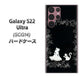 Galaxy S22 Ultra SCG14 au 高画質仕上げ 背面印刷 ハードケース【1097 お姫様とネコ（モノトーン）】