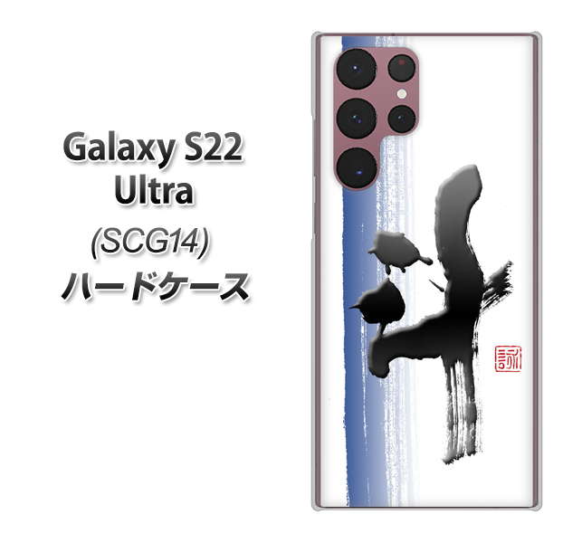 Galaxy S22 Ultra SCG14 au 高画質仕上げ 背面印刷 ハードケース【OE829 斗】