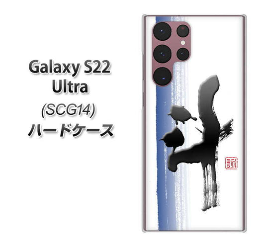 Galaxy S22 Ultra SCG14 au 高画質仕上げ 背面印刷 ハードケース【OE829 斗】