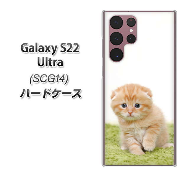 Galaxy S22 Ultra SCG14 au 高画質仕上げ 背面印刷 ハードケース【VA802 ネコこっそり】