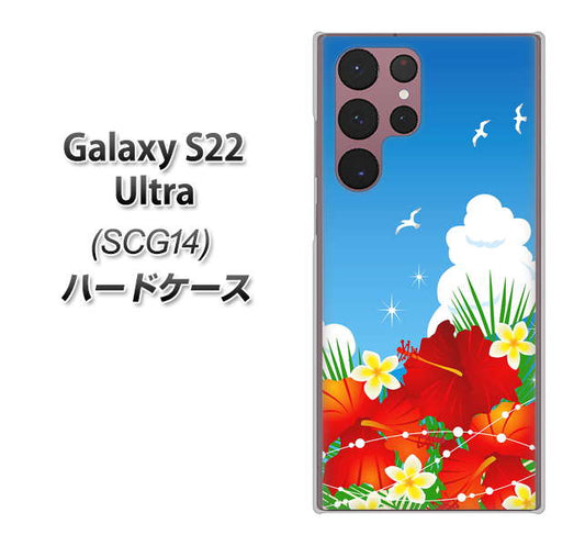 Galaxy S22 Ultra SCG14 au 高画質仕上げ 背面印刷 ハードケース【VA821 ハイビスカスと青空】