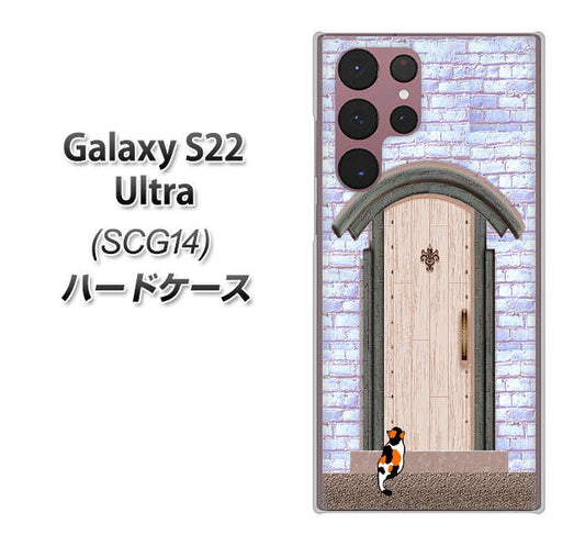 Galaxy S22 Ultra SCG14 au 高画質仕上げ 背面印刷 ハードケース【YA952 石ドア02 素材クリア】