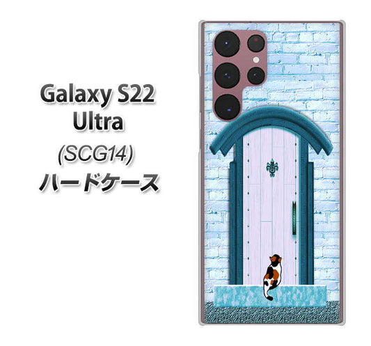 Galaxy S22 Ultra SCG14 au 高画質仕上げ 背面印刷 ハードケース【YA953 石ドア03 素材クリア】