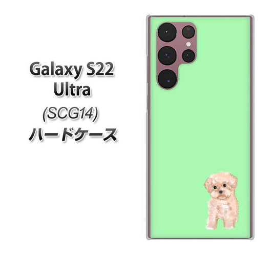 Galaxy S22 Ultra SCG14 au 高画質仕上げ 背面印刷 ハードケース【YJ063 トイプードルアプリコット（グリーン）】