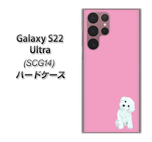 Galaxy S22 Ultra SCG14 au 高画質仕上げ 背面印刷 ハードケース【YJ069 トイプードルホワイト（ピンク）】