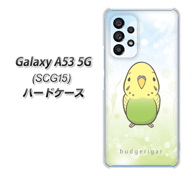 Galaxy A53 5G SCG15 au 高画質仕上げ 背面印刷 ハードケース【SC838 セキセイインコ グリーン】