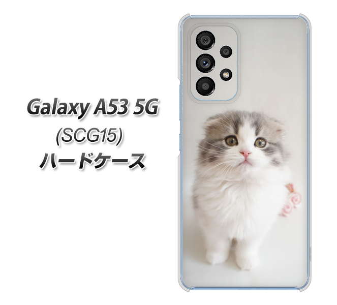 Galaxy A53 5G SCG15 au 高画質仕上げ 背面印刷 ハードケース【VA803 まっていますネコ】