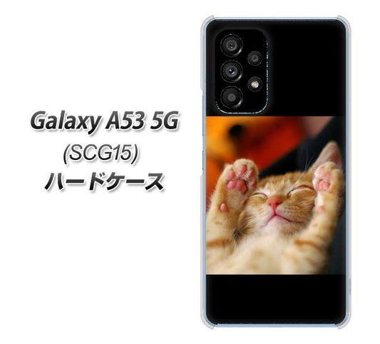 Galaxy A53 5G SCG15 au 高画質仕上げ 背面印刷 ハードケース【VA804 爆睡するネコ】