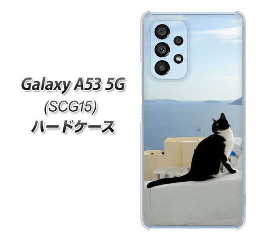 Galaxy A53 5G SCG15 au 高画質仕上げ 背面印刷 ハードケース【VA805 ネコと地中海】