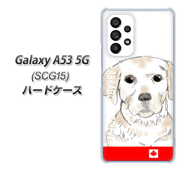 Galaxy A53 5G SCG15 au 高画質仕上げ 背面印刷 ハードケース【YD821 ラブラドールレトリバー02】