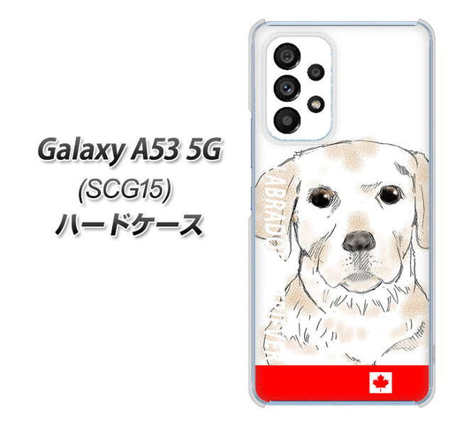 Galaxy A53 5G SCG15 au 高画質仕上げ 背面印刷 ハードケース【YD821 ラブラドールレトリバー02】
