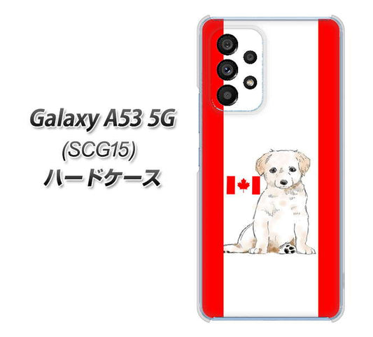 Galaxy A53 5G SCG15 au 高画質仕上げ 背面印刷 ハードケース【YD824 ラブラドールレトリバー05】