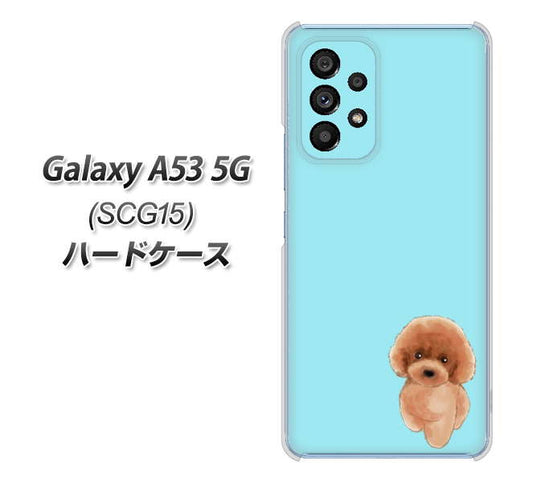 Galaxy A53 5G SCG15 au 高画質仕上げ 背面印刷 ハードケース【YJ050 トイプードルレッド（ブルー）】