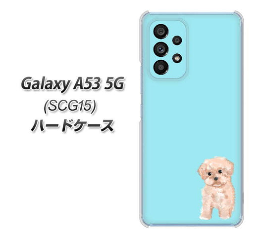 Galaxy A53 5G SCG15 au 高画質仕上げ 背面印刷 ハードケース【YJ062 トイプードルアプリコット（ブルー）】