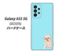 Galaxy A53 5G SCG15 au 高画質仕上げ 背面印刷 ハードケース【YJ062 トイプードルアプリコット（ブルー）】