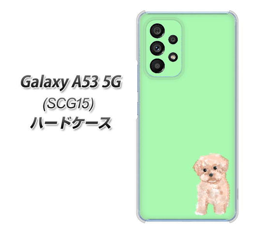 Galaxy A53 5G SCG15 au 高画質仕上げ 背面印刷 ハードケース【YJ063 トイプードルアプリコット（グリーン）】