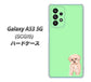 Galaxy A53 5G SCG15 au 高画質仕上げ 背面印刷 ハードケース【YJ063 トイプードルアプリコット（グリーン）】