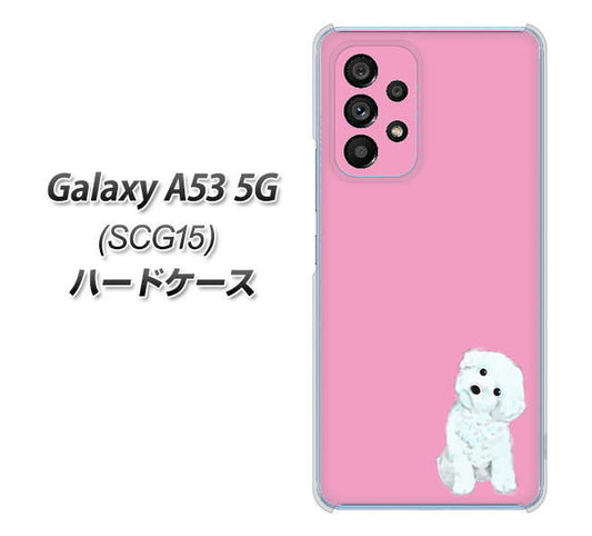 Galaxy A53 5G SCG15 au 高画質仕上げ 背面印刷 ハードケース【YJ069 トイプードルホワイト（ピンク）】