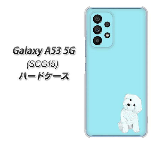 Galaxy A53 5G SCG15 au 高画質仕上げ 背面印刷 ハードケース【YJ070 トイプードルホワイト（ブルー）】