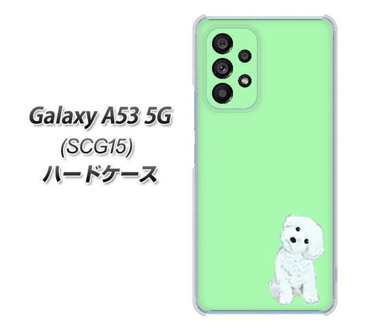 Galaxy A53 5G SCG15 au 高画質仕上げ 背面印刷 ハードケース【YJ071 トイプードルホワイト（グリーン）】