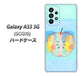 Galaxy A53 5G SCG15 au 高画質仕上げ 背面印刷 ハードケース【YJ181 りんご 水彩181】