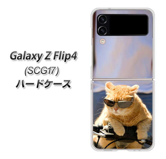 Galaxy Z Flip4 SCG17 au 高画質仕上げ 背面印刷 ハードケース【595 にゃんとサイクル】