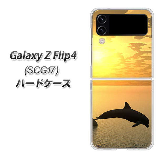 Galaxy Z Flip4 SCG17 au 高画質仕上げ 背面印刷 ハードケース【VA845 夕暮れのドルフィン】