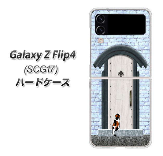Galaxy Z Flip4 SCG17 au 高画質仕上げ 背面印刷 ハードケース【YA951 石ドア01】