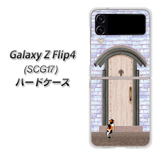 Galaxy Z Flip4 SCG17 au 高画質仕上げ 背面印刷 ハードケース【YA952 石ドア02 素材クリア】
