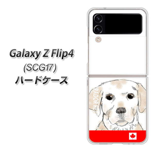 Galaxy Z Flip4 SCG17 au 高画質仕上げ 背面印刷 ハードケース【YD821 ラブラドールレトリバー02】