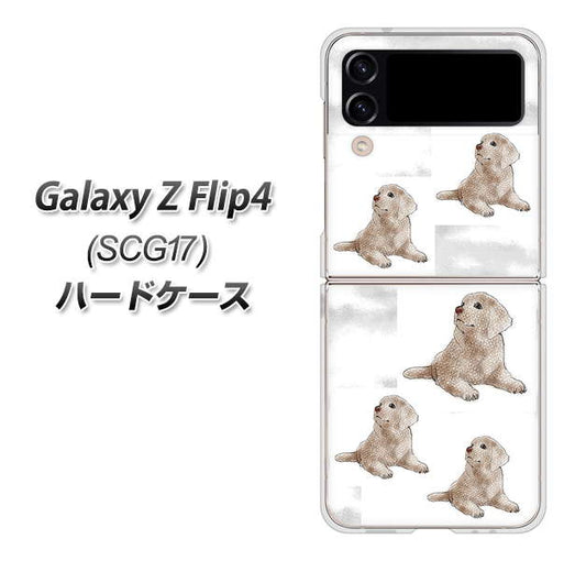 Galaxy Z Flip4 SCG17 au 高画質仕上げ 背面印刷 ハードケース【YD823 ラブラドールレトリバー04】