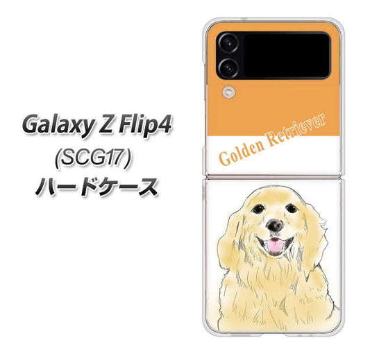 Galaxy Z Flip4 SCG17 au 高画質仕上げ 背面印刷 ハードケース【YD827 ゴールデンレトリバー03】