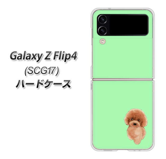 Galaxy Z Flip4 SCG17 au 高画質仕上げ 背面印刷 ハードケース【YJ052 トイプードルレッド（ グリーン）】