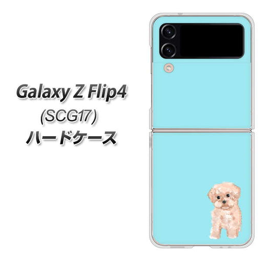 Galaxy Z Flip4 SCG17 au 高画質仕上げ 背面印刷 ハードケース【YJ062 トイプードルアプリコット（ブルー）】