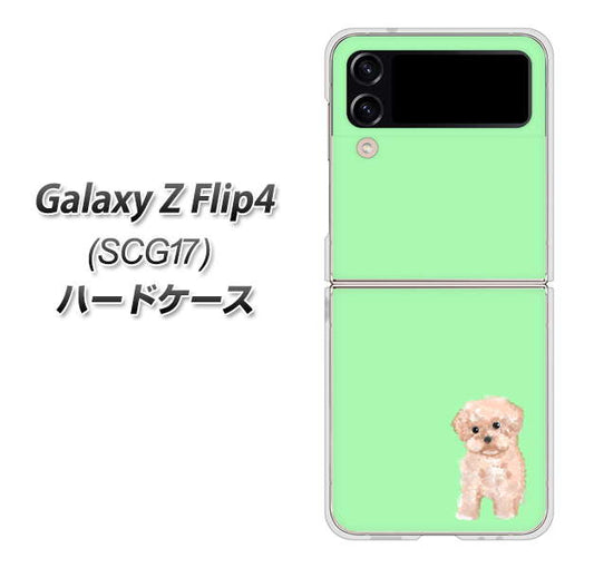 Galaxy Z Flip4 SCG17 au 高画質仕上げ 背面印刷 ハードケース【YJ063 トイプードルアプリコット（グリーン）】