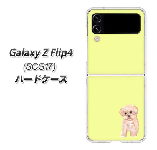 Galaxy Z Flip4 SCG17 au 高画質仕上げ 背面印刷 ハードケース【YJ064 トイプードルアプリコット（イエロー）】