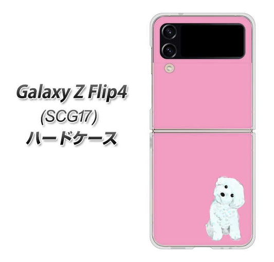 Galaxy Z Flip4 SCG17 au 高画質仕上げ 背面印刷 ハードケース【YJ069 トイプードルホワイト（ピンク）】