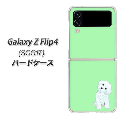 Galaxy Z Flip4 SCG17 au 高画質仕上げ 背面印刷 ハードケース【YJ071 トイプードルホワイト（グリーン）】