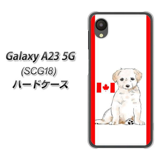 Galaxy A23 5G SCG18 au 高画質仕上げ 背面印刷 ハードケース【YD824 ラブラドールレトリバー05】