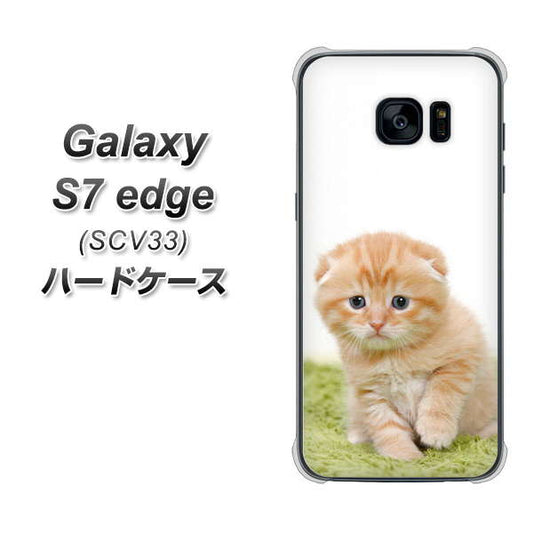 au ギャラクシーS7エッジ SCV33 高画質仕上げ 背面印刷 ハードケース【VA802 ネコこっそり】